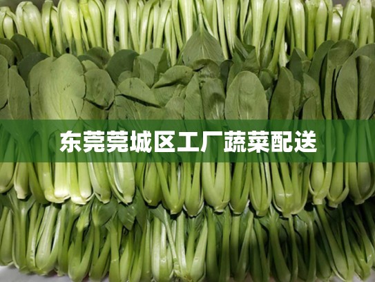 东莞莞城区工厂蔬菜配送