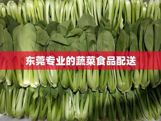 东莞专业的蔬菜食品配送