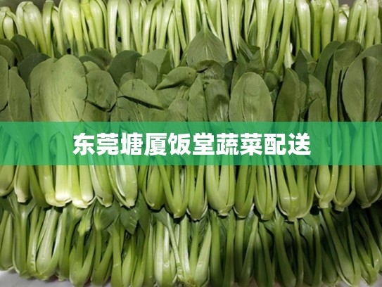 东莞塘厦饭堂蔬菜配送