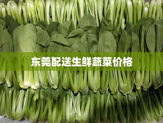 东莞配送生鲜蔬菜价格