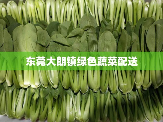 东莞大朗镇绿色蔬菜配送