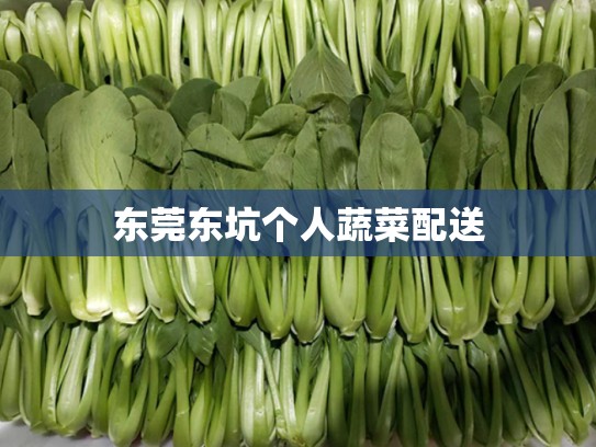 东莞东坑个人蔬菜配送
