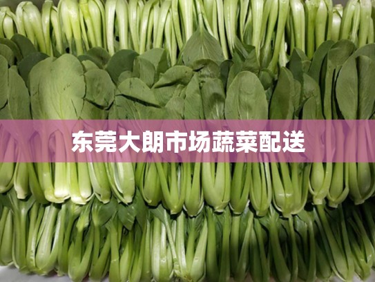东莞大朗市场蔬菜配送