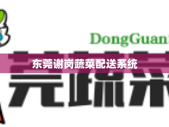 东莞谢岗蔬菜配送系统