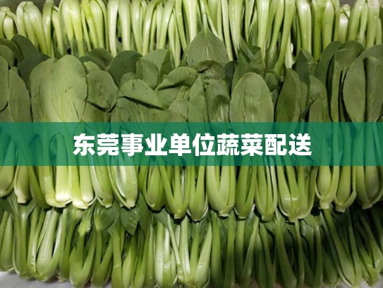 东莞事业单位蔬菜配送