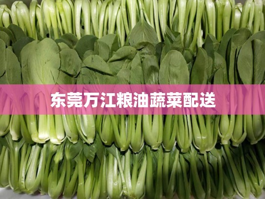 东莞万江粮油蔬菜配送