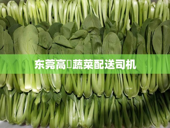 东莞高埗蔬菜配送司机