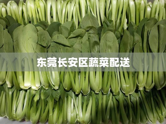 东莞长安区蔬菜配送