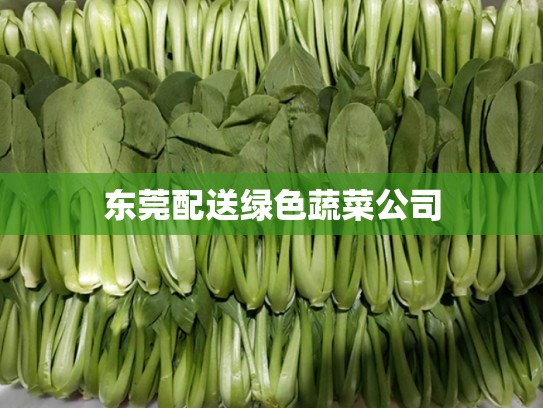 东莞配送绿色蔬菜公司