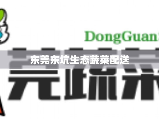 东莞东坑生态蔬菜配送