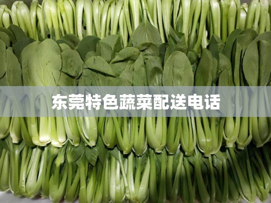 东莞特色蔬菜配送电话