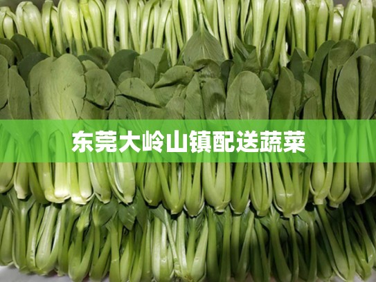 东莞大岭山镇配送蔬菜
