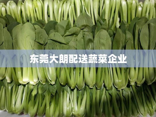 东莞大朗配送蔬菜企业