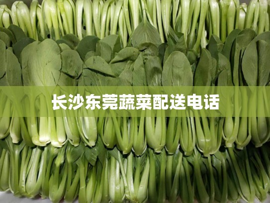 长沙东莞蔬菜配送电话