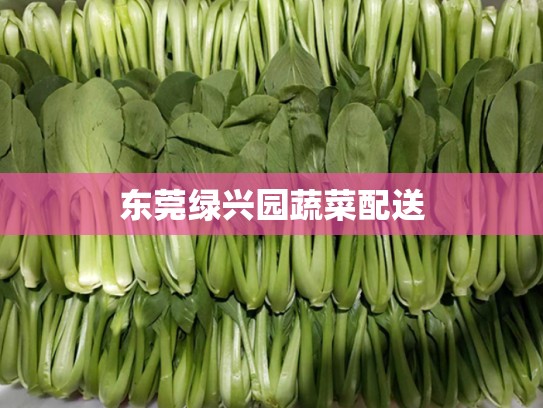 东莞绿兴园蔬菜配送