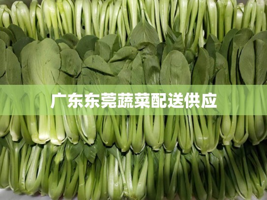 广东东莞蔬菜配送供应