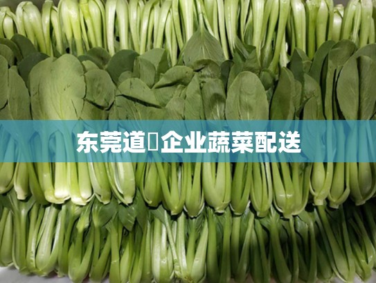 东莞道滘企业蔬菜配送