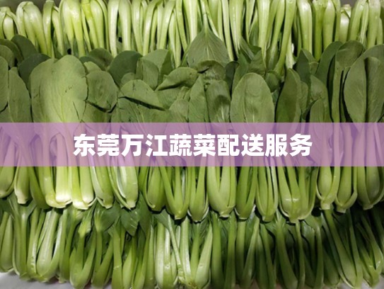 东莞万江蔬菜配送服务