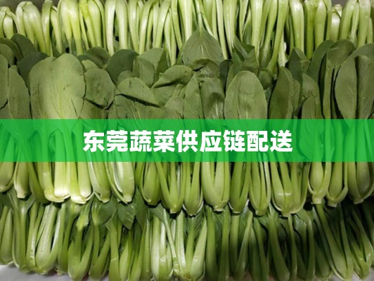 东莞蔬菜供应链配送