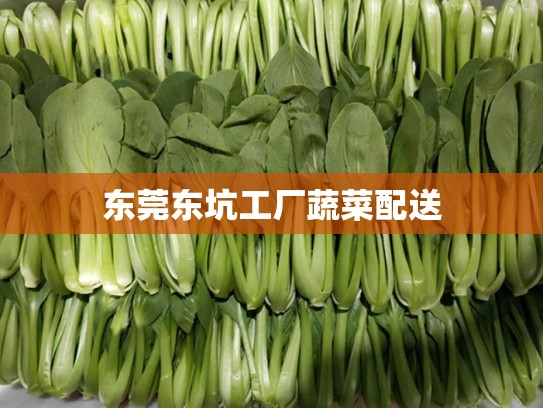 东莞东坑工厂蔬菜配送