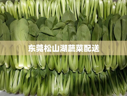 东莞松山湖蔬菜配送