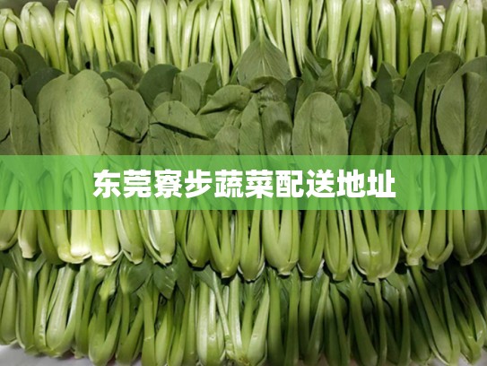 东莞寮步蔬菜配送地址
