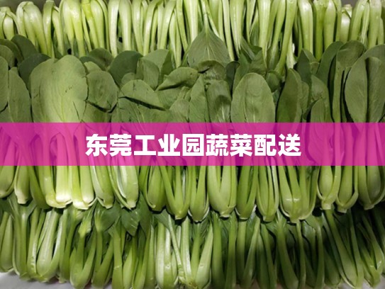 东莞工业园蔬菜配送