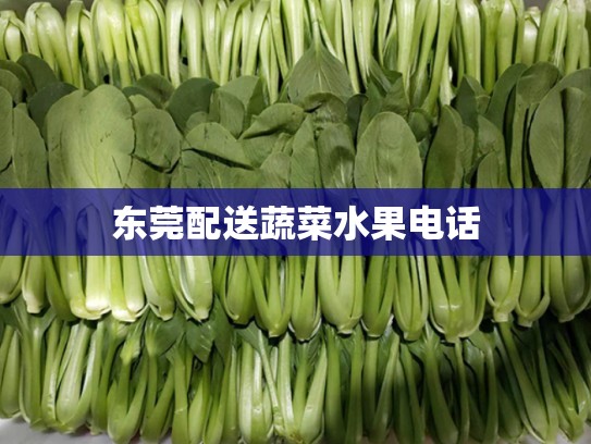 东莞配送蔬菜水果电话