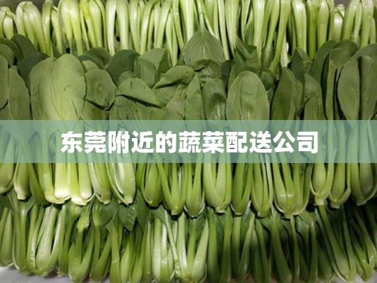 东莞附近的蔬菜配送公司