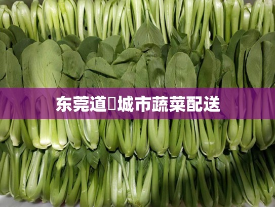 东莞道滘城市蔬菜配送