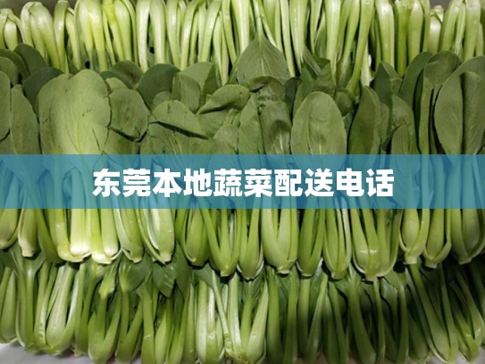 东莞本地蔬菜配送电话