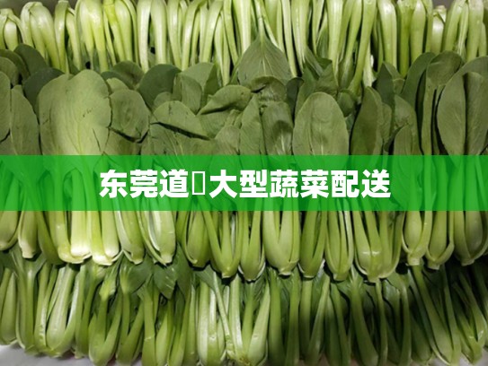 东莞道滘大型蔬菜配送
