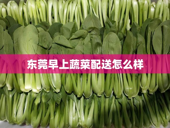 东莞早上蔬菜配送怎么样