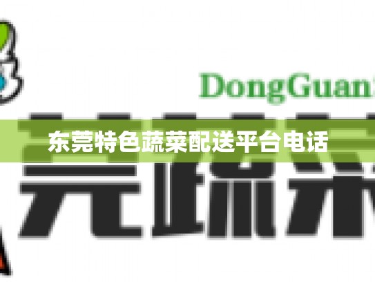 东莞特色蔬菜配送平台电话