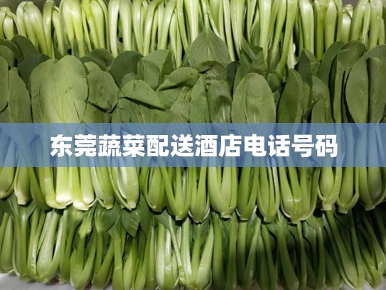 东莞蔬菜配送酒店电话号码