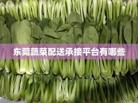 东莞蔬菜配送承接平台有哪些