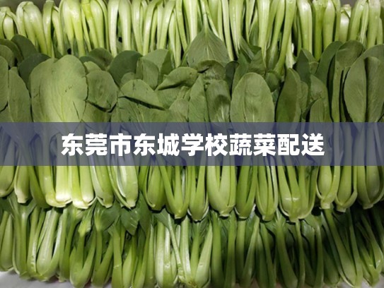 东莞市东城学校蔬菜配送