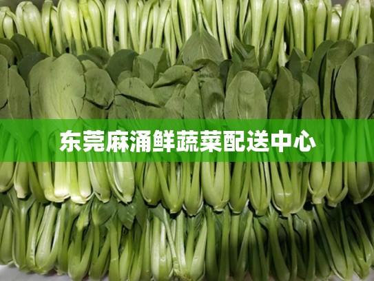 东莞麻涌鲜蔬菜配送中心