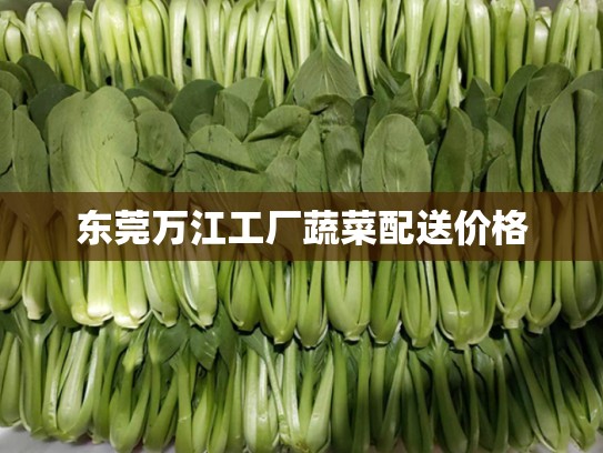 东莞万江工厂蔬菜配送价格