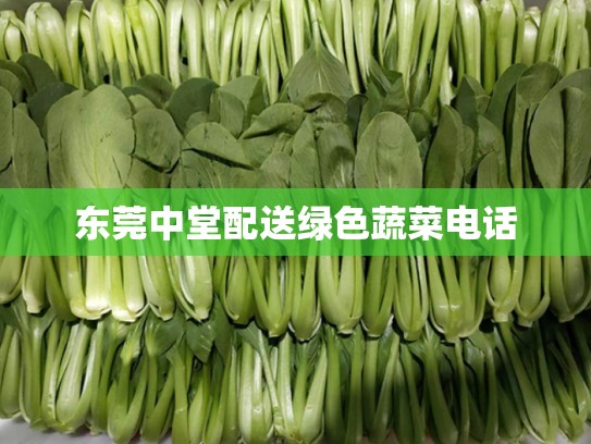 东莞中堂配送绿色蔬菜电话