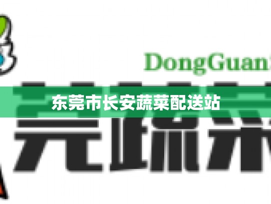 东莞市长安蔬菜配送站