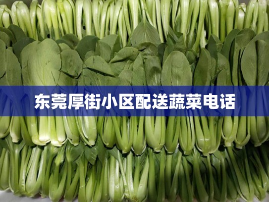 东莞厚街小区配送蔬菜电话