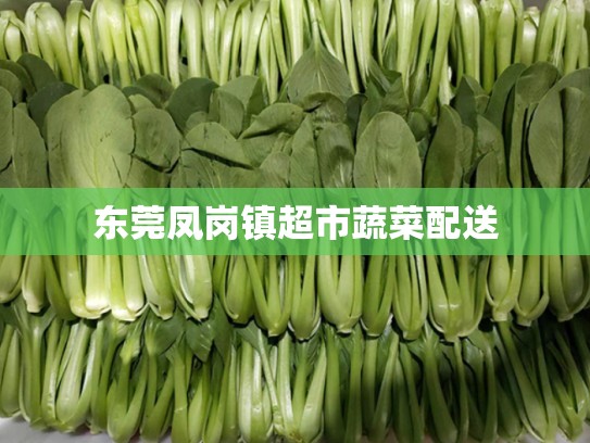 东莞凤岗镇超市蔬菜配送