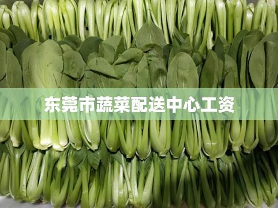 东莞市蔬菜配送中心工资