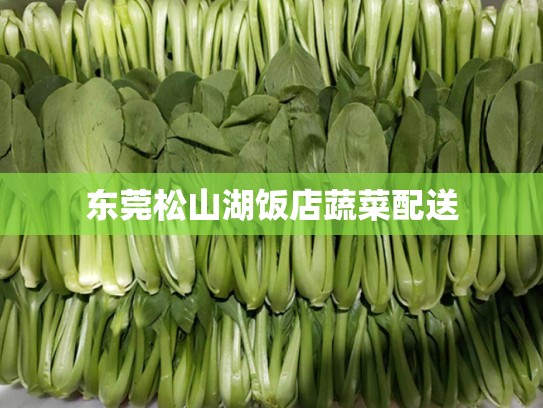 东莞松山湖饭店蔬菜配送