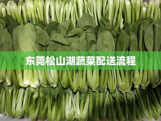 东莞松山湖蔬菜配送流程