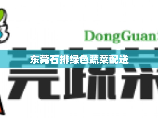 东莞石排绿色蔬菜配送