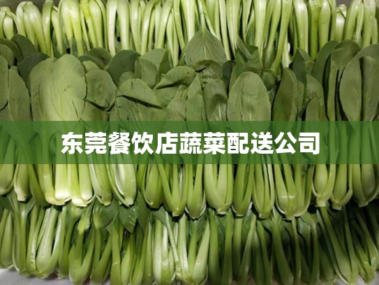 东莞餐饮店蔬菜配送公司