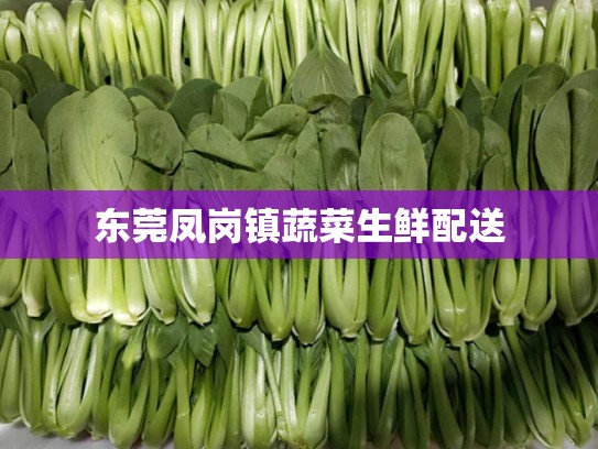东莞凤岗镇蔬菜生鲜配送