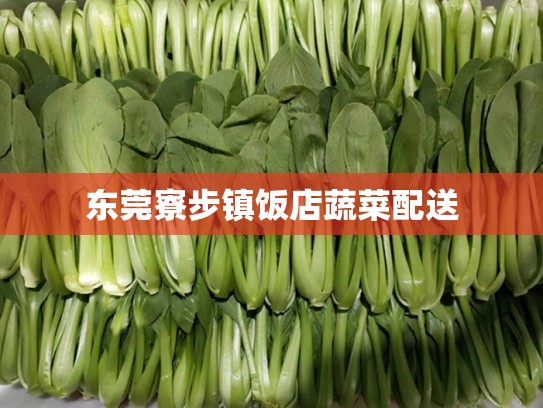 东莞寮步镇饭店蔬菜配送